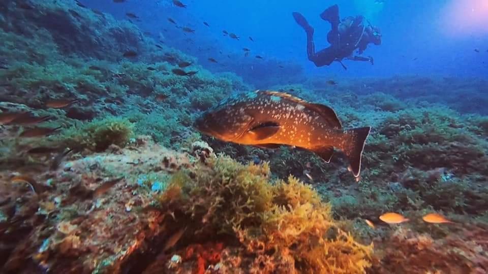 Cabo De Palos Apartamento Vacacional エクステリア 写真